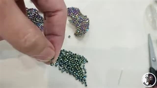 گل بادبزنی P