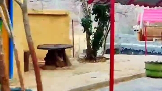 اقامتگاه تفریحی توریستی بابا بزرگ در مرودشت