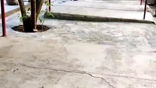 اقامتگاه تفریحی توریستی بابا بزرگ در مرودشت