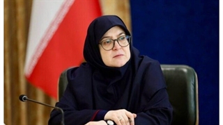 مهاجرانی: تمام واردات کشور با ارز دولتی پرداخت می‌شود