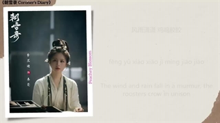 موسیقی سریال چینی خاطرات کالبدشکاف