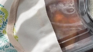 مقاومت حرارتی ظروف سلف سرویس