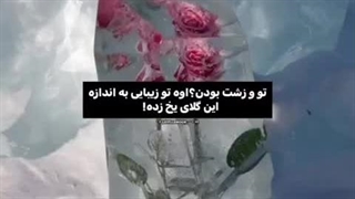 بیا درصد زیباییت رو تشخیص بده