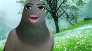 پیام صبح بخیر به مخاطبان