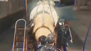 رندوم ترین ویدیو ای که مامانم برام میفرسته (با اهنگ اسکیز ادیت زدن)