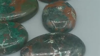 پک نگین کریزوکولا