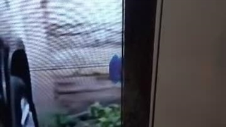 اتصال پنل در تلویزیون سامسونگ