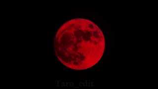 خواستم خسوف ماه خونینو یاد آوری کنم. -کپشن و کامنت ها-