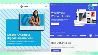 wordpress vs drupal