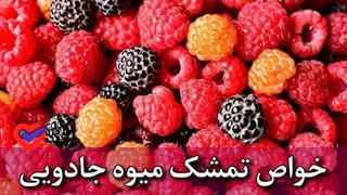 تمشک خوشمزه و زیبا اما پر فایده / بهترین میوه برای پوست!!