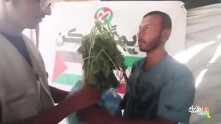 توزیع بسته‌های سبزیجات بین مردم جنگ‎زده و مقاوم غزه