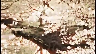 جز بهترین اهنگ ها است