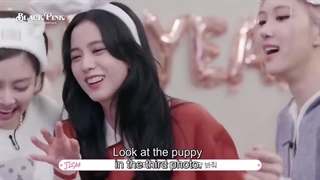 2021 SEASONS GREETINGS از BLACKPINK با زیرنویس فارسی