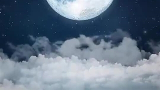 فصل دوم رمان THE EDICTION (اعتیاد) پارت چهاردهم