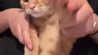 کیوتتقصسخسجسقتتث