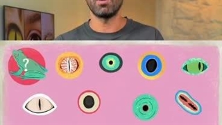 علوم تجربی پنجم دبستان | درس ششم: چه خبر؟ (1) | تفاوت مردمک چشم جانوران مختلف