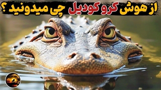 کروکودیل آب‌شور ؛ نابغه‌ای پنهان با زره ضدگلوله و غریزه‌ی دایناسوری