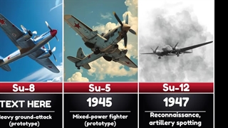 تاریخ دیوانه‌وار ســوخــو