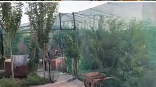 تولید توری سایبان 09119074844 تورینه بافت