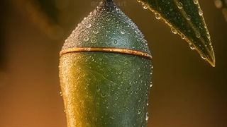 تیزر تبلیغاتی کارخانه نساجی