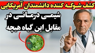 کشف جدید علمی : مرگ سلول های سرطانی روده در ۳ ثانیه با این داروی گیاهی( علم را متحول کرد)