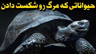 حیواناتی که قوانین مرگ رو زیر پا گذاشتن