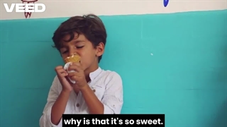 Unit 6, evolve 6, doc