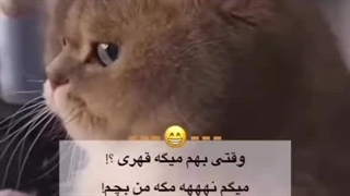 وقتی بهم میگه قهری