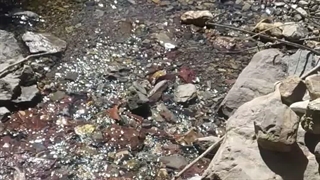 کپ مهم بخونیدش