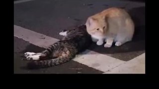 بهترین رفیقمممم ادامه کپشن