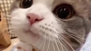 حس نمیکنی ؟؟ .-.