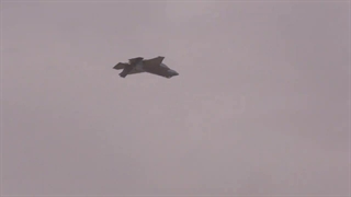 ایرشو و مانور جنگنده نسل پنجمی F-35