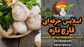 اسلایس حرفه‌ای قارچ – تازه و خوشمزه