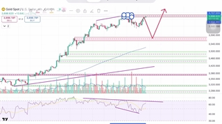 طلای جهانی؛ فرصت‌ های طلایی یا ریسک‌ های پنهان؟