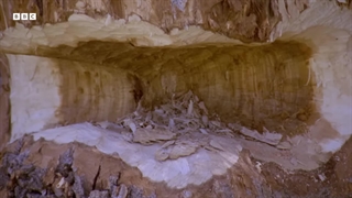 سگ‌های آبیِ پرمشغله در آستانه زمستان سد می‌سازند