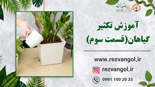 آموزش تکثیر گیاهان(قسمت سوم)