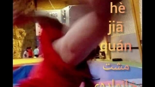 اسلاید گارد ها و ضربات کونگ فو