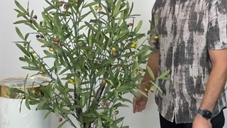 خرید درختچه مصنوعی شیک با ارتفاع ۱.۵ متر، انتخابی خاص برای زیباتر کردن دکوراسیون شما!