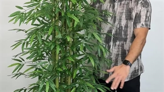 خرید درختچه مصنوعی بامبو با ارتفاع ۱۸۰ سانتی‌متر