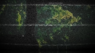 ادیتم از جیسو (کپ)