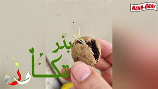 روند رشد بذر تکاور پرتابی محصولی از نانومواد خاکستری