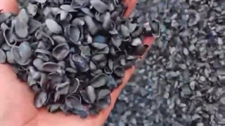 تامین مواد اولیه - پوست پسته کربن - تضمین خرید09120641145