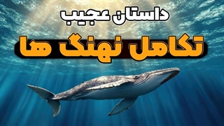 نهنگ ها، از وقتی پا داشتند تا به امروز