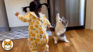 وقتی بچه هات پیش یه گربه بزرگ میشن