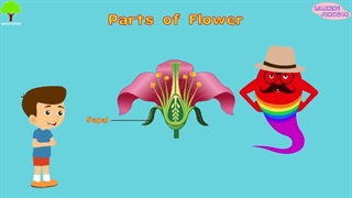 Flower parts