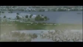 سریال عربی حضرت حسن و حسین رضی الله عنهما قسمت 13 دوبله فارسی یا "معاویة و الحسن و الحسین" "Muawiya, Al Hassan wa al Hussein"