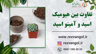 تفاوت بین هیومیک اسید و آمینو اسید