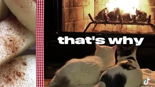 We fell in love in October