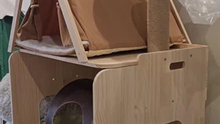 Smart cat feeder Dubai