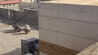 نصب توری مرغی بالکن پاسیو تراس حیاط خلوت فرنگی09351500361